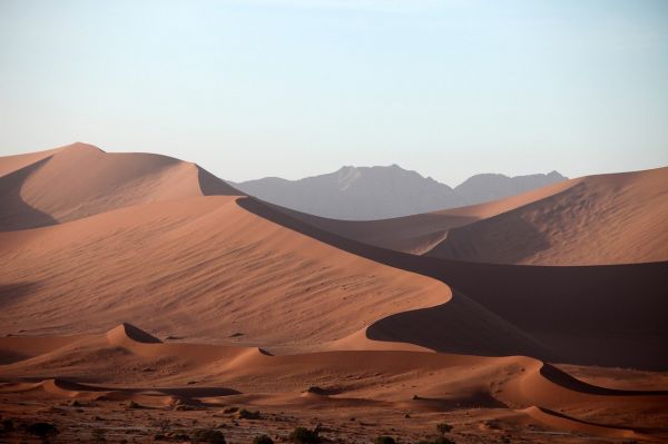 Namibie, Sénégal, Pays-Bas, Slovénie : le point sur les nouvelles conditions d'entrée