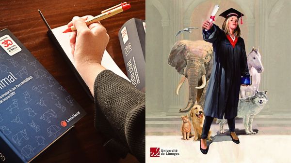 Inscrivez-vous à la 10e session du DU en Droit animalier à l'Université de Limoges