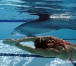 Des robots dauphins pour remplacer les animaux en captivité