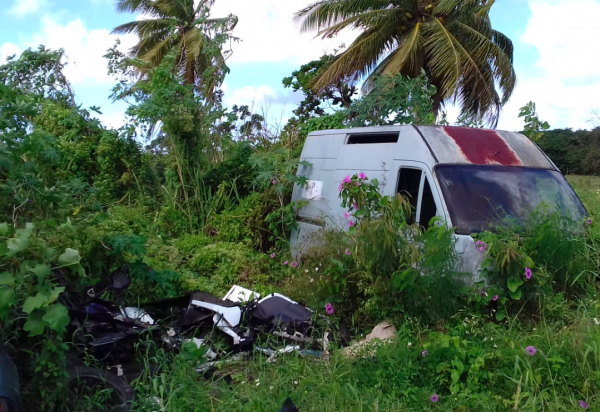 Guadeloupe : Pointe-à-Pitre se dote d'une application pour collecter les déchets