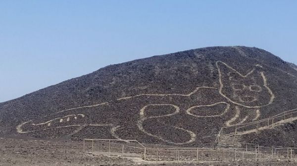 Le chat de Nazca, un nouveau géoglyphe dans le désert péruvien