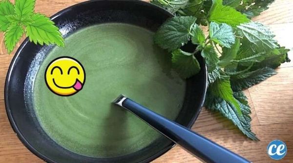 Soupe d'Orties à l'Ancienne : Ma Recette Facile Qui Ne Coûte Rien !