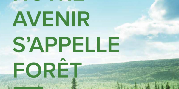 Trois applis pour contribuer à la reforestation