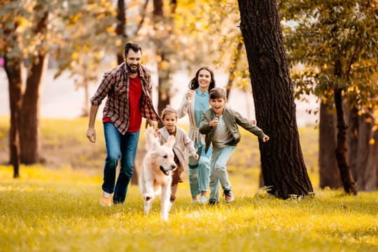 Jours fériés : calendrier et dates, quels sont les prochains jours fériés en novembre et décembre 2020 ?