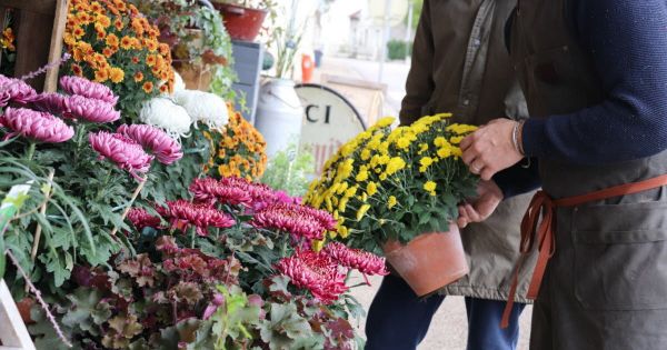 Cette dérogation qui a sauvé le week-end des fleuristes