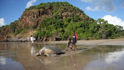 Le gouvernement comorien a vendu une partie de l’île de Mohéli