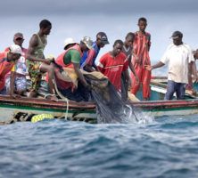 Au Sénégal, les pêcheurs et les jeunes frappés par la crise se tournent vers les îles Canaries – Hebdomadaire Révélations