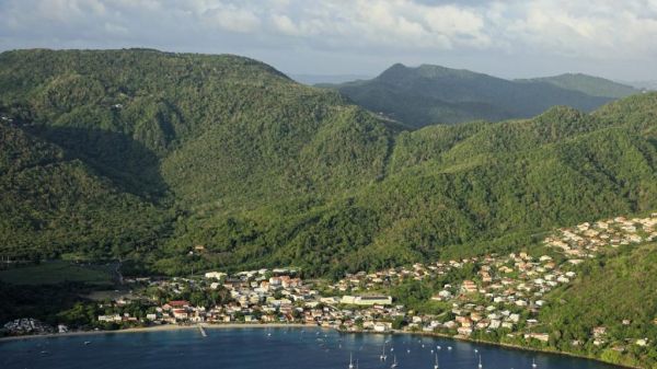 Martinique : la fragile biodiversité de l'île