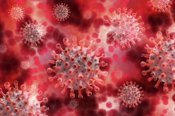 Covid-19 : on en sait un peu plus sur les lésions pulmonaires