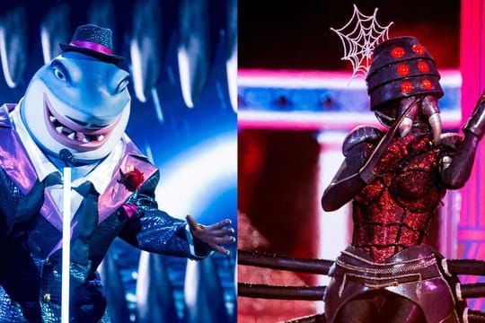 Mask Singer : le Requin et l'Araignée découverts, les indices sur les finalistes