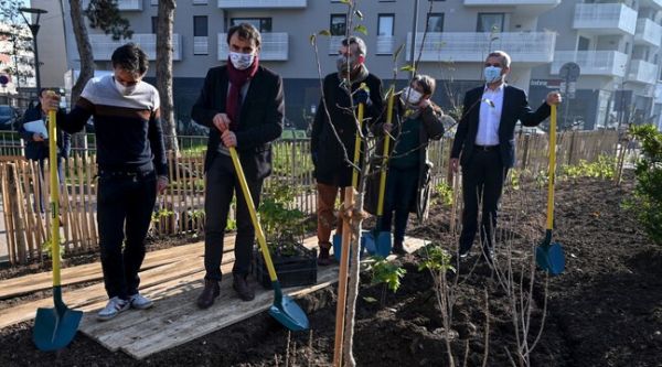 Lyon : La ville plante ses premiers vergers urbains pour développer les cueillettes pour tous