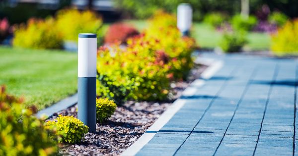 Gestion alternative des eaux pluviales : les recommandations de l'Union nationale des entreprises du paysage