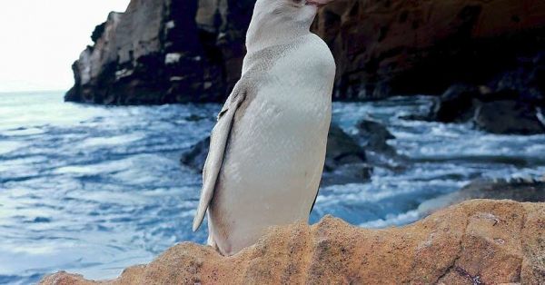 Les photos qu'il ne fallait pas rater ce vendredi