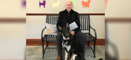 Etats-Unis  : Joe Biden s’est fracturé le pied en jouant avec son chien