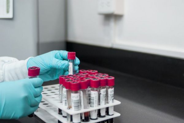 Covid-19 : l’immunité durerait entre 6 et 8 mois