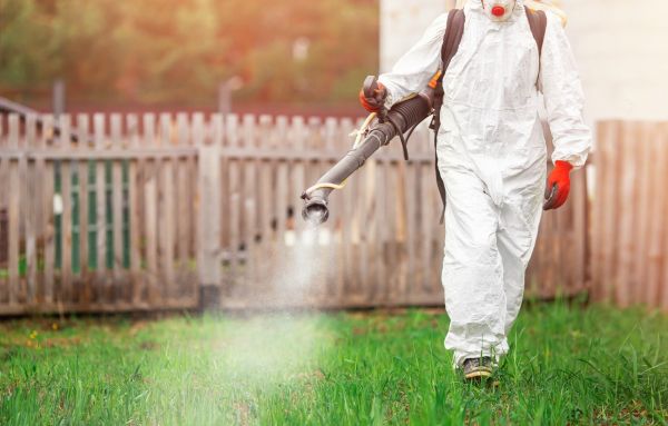 Lutte contre la dengue | Démoustications nocturnes : La Possession, Le Port, Trois-Bassins et Saint-Leu