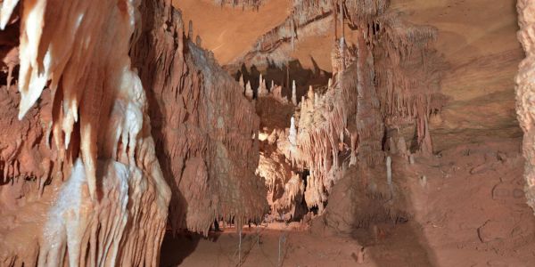 La grotte de Cussac, temple artistique et crypte funéraire de la préhistoire