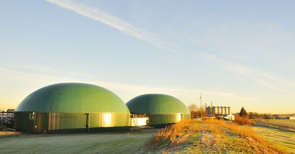 Méthanisation : la Confédération paysanne demande un moratoire