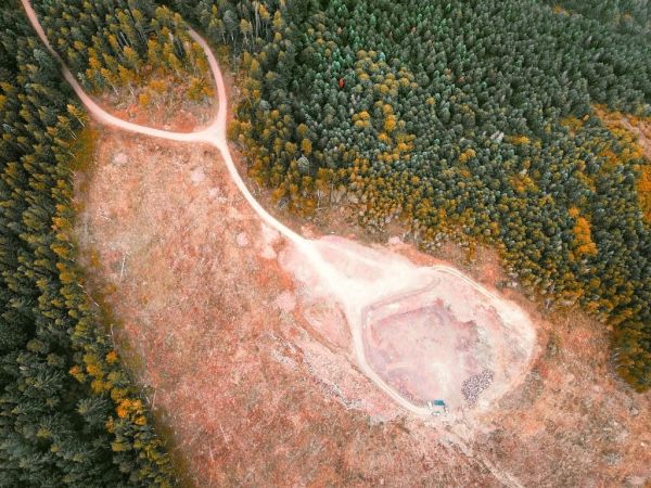 Déforestation : 43 millions d'hectares de forêts ont disparu en treize ans