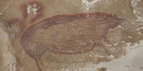 Des sangliers des Célèbes sur la plus ancienne fresque figurative au monde, datée d'au moins 45 500 ans