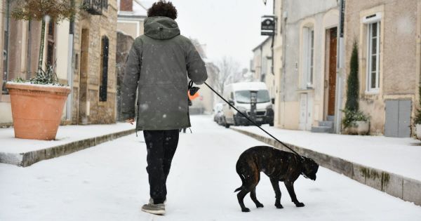 L'actualité de la semaine dans l'objectif de notre photographe