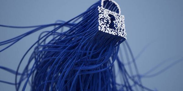 Entrepreneurs locaux: comment sécuriser vos données sur Internet?
