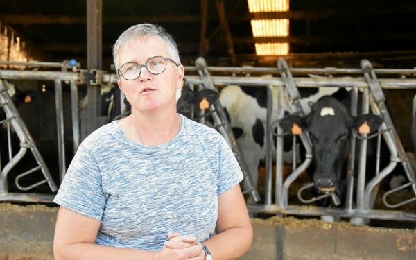 Une agricultrice porte plainte contre quatre ministres pour « nuisances » d'un parc éolien