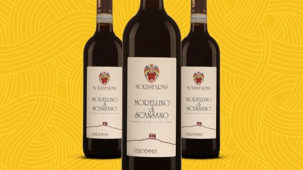 Le vin de la semaine : un rouge parfait pour les pâtes