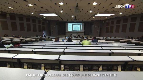 Cours en présentiel à Lorient : pas de sanction pour l'enseignante