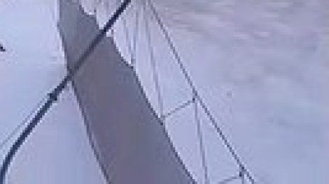Un skieur roumain est poursuivi par un ours