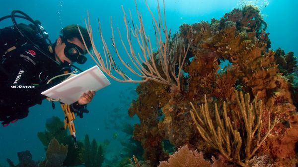 Menaces sur le Pacifique