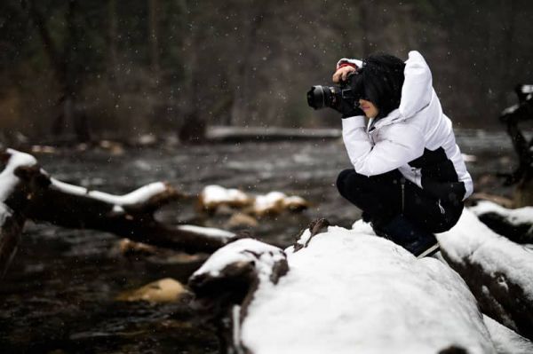 Photographe animalier : tout savoir sur l'expert de la photo d'animaux