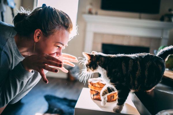 Contribuer au bien-être animal et réaliser des actions bénévoles