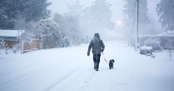 Une tempête de neige est attendue mardi, jusqu'à 40 cm dans certaines régions