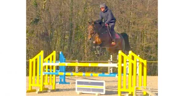 Bandro Boy de Béthune (SF) sous la selle de Kevin Staut