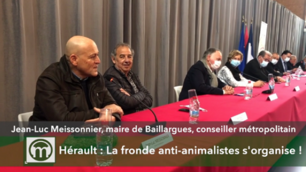 La résistance contre les anti-chasse s’organise à Montpellier. « Ce sont des extra-terrestres ».