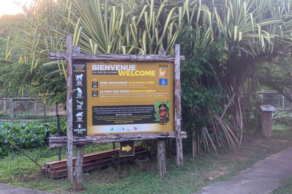 Zoo de Guyane, refuge d'Amazonie