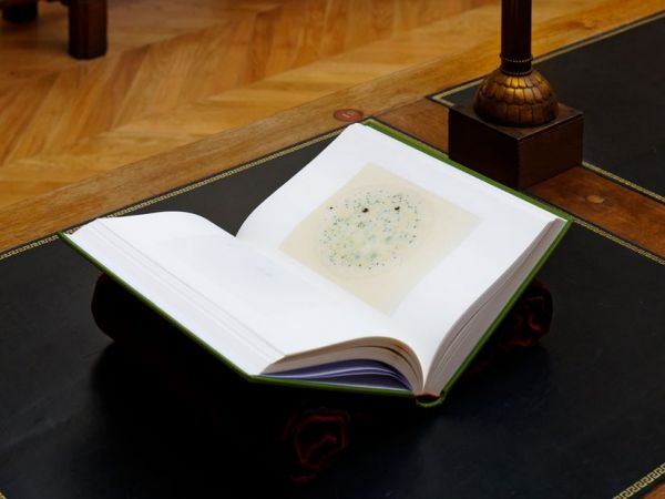 Substrat : quand les micro-organismes des livres donnent naissance à un livre