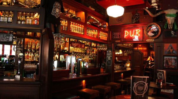 Confinement en Irlande : Un pub reconverti en clinique pour animaux sauvages