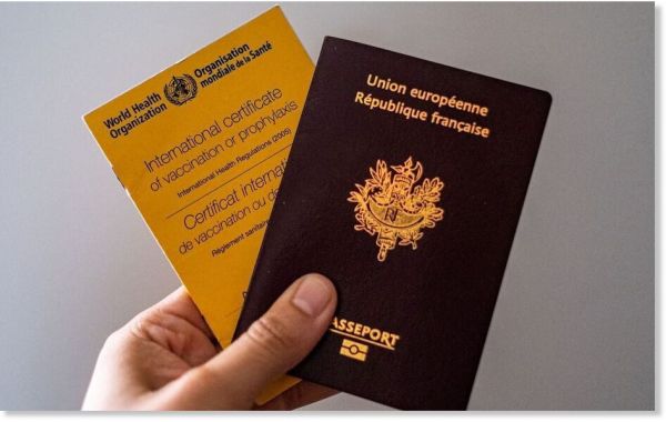 Contrôle et chantage : L'idée du passeport vaccinal se met en place en France