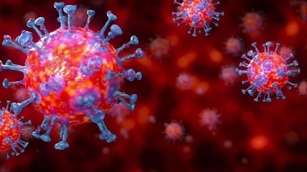 Evolution du coronavirus en Afrique (APA)