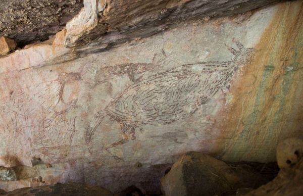 Découverte de la plus ancienne peinture rupestre d’Australie