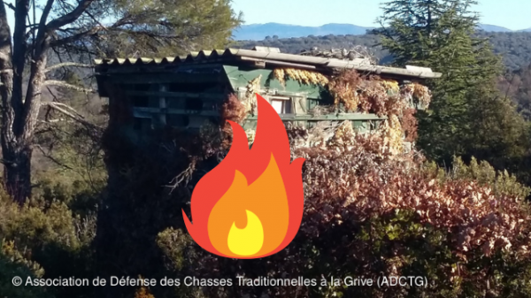 A Marseille, une douzaine de postes de chasse à la glu vandalisés en une nuit.