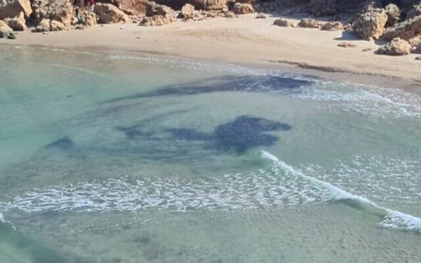 Marée noire : le cabinet alloue 45 M de shekels pour nettoyer le littoral