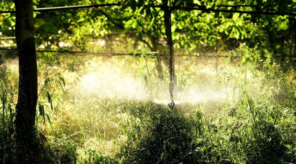 Lac de Caussade : La justice confirme l'illégalité de la retenue d'eau située en Lot-et-Garonne