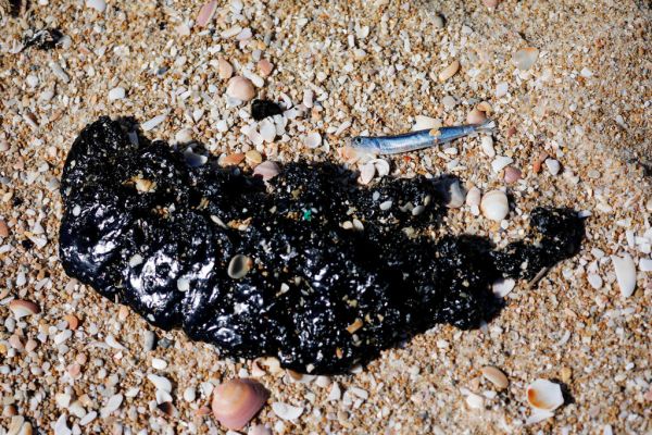 Catastrophe écologique: 10 navires suspects..
