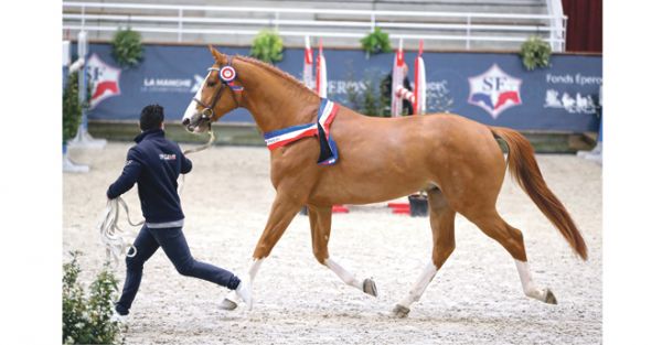 La revanche de Riverland : Itoki (Candy de Nantuel) champion
