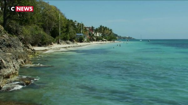 La Guadeloupe rattrapée par l'épidémie de Covid-19