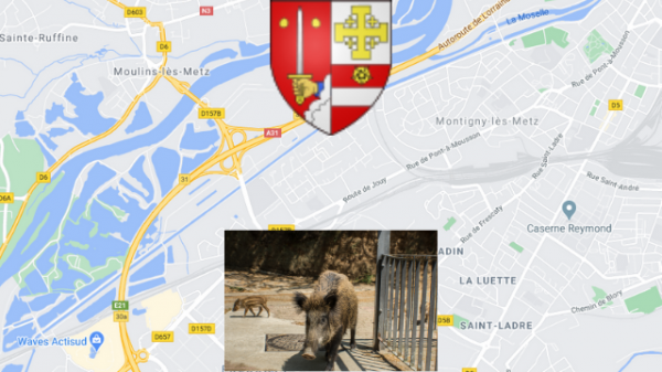 Montigny lès Metz autorise la chasse sur 21 hectares.
