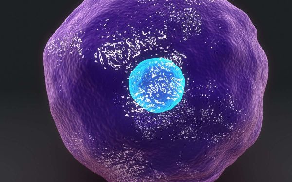 Immunité : voici l'arme qui va peut-être nous sauver des variants